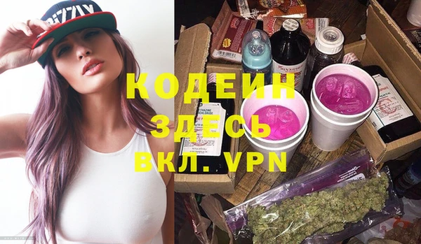 гашик Верея