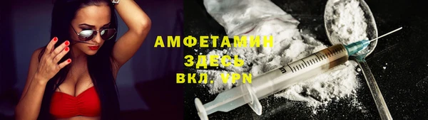 гашик Верея