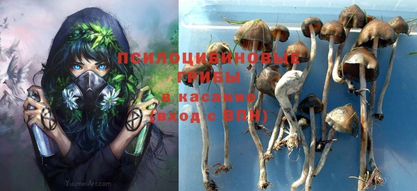 гашик Верея