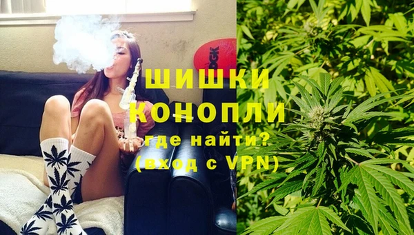 гашик Верея
